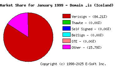 February 1st 1999 CA Market Share Pie Chart