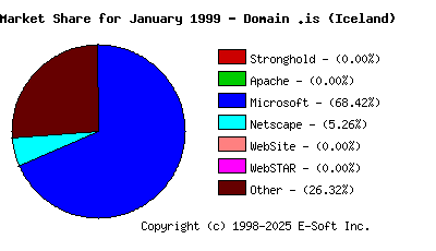 February 1st, 1999 Market Share Pie Chart