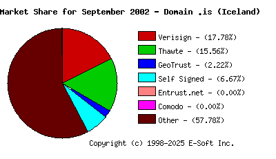 October 1st 2002 CA Market Share Pie Chart