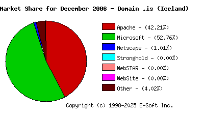January 1st, 2007 Market Share Pie Chart
