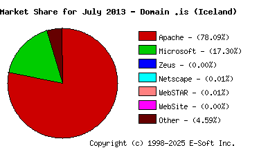 August 1st, 2013 Market Share Pie Chart