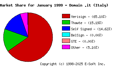 February 1st 1999 CA Market Share Pie Chart