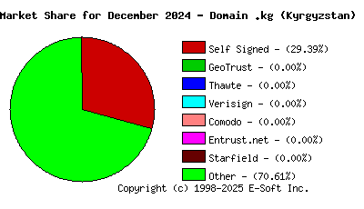 January 1st 2025 CA Market Share Pie Chart
