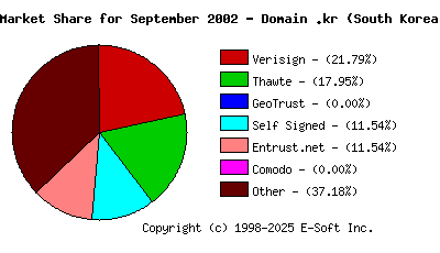 October 1st 2002 CA Market Share Pie Chart