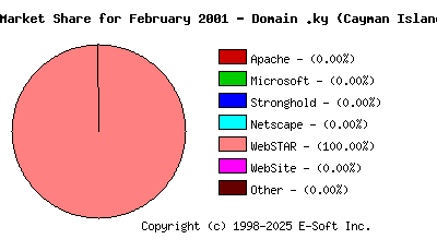 March 1st, 2001 Market Share Pie Chart