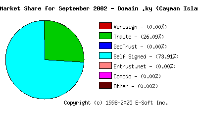 October 1st 2002 CA Market Share Pie Chart