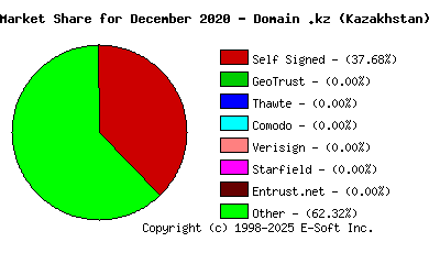 January 1st 2021 CA Market Share Pie Chart
