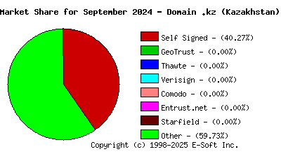 October 1st 2024 CA Market Share Pie Chart