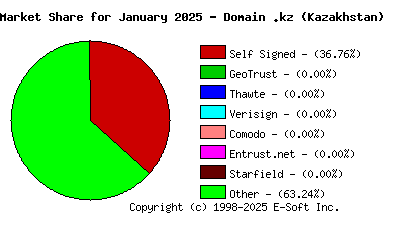 February 1st 2025 CA Market Share Pie Chart