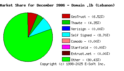 January 1st 2007 CA Market Share Pie Chart