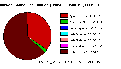 February 1st, 2024 Market Share Pie Chart