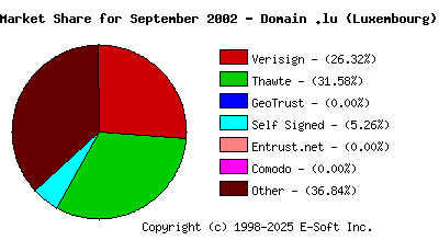 October 1st 2002 CA Market Share Pie Chart