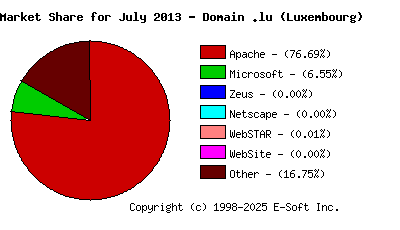 August 1st, 2013 Market Share Pie Chart