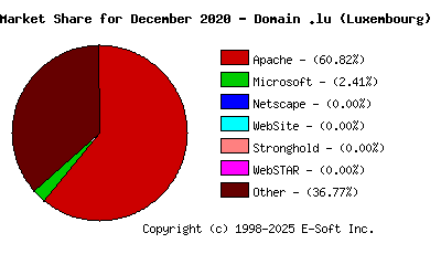 January 1st, 2021 Market Share Pie Chart