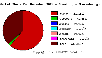 January 1st, 2025 Market Share Pie Chart