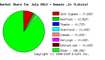 August 1st 2013 CA Market Share Pie Chart