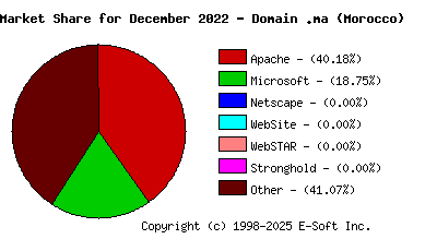 January 1st, 2023 Market Share Pie Chart