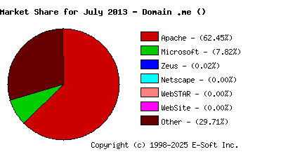August 1st, 2013 Market Share Pie Chart