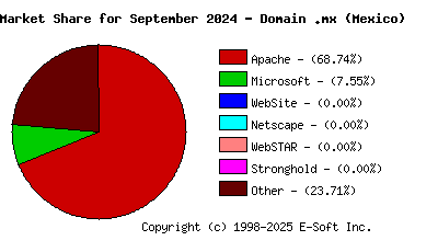 October 1st, 2024 Market Share Pie Chart