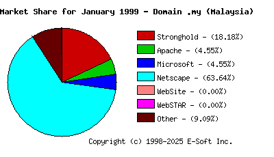 February 1st, 1999 Market Share Pie Chart