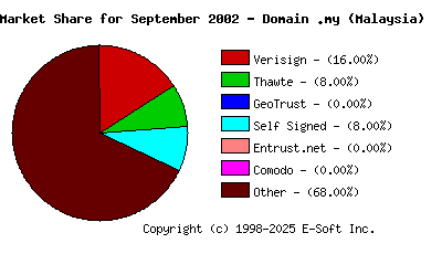 October 1st 2002 CA Market Share Pie Chart