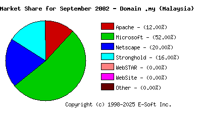 October 1st, 2002 Market Share Pie Chart