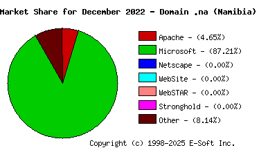 January 1st, 2023 Market Share Pie Chart