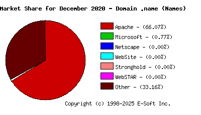 January 1st, 2021 Market Share Pie Chart