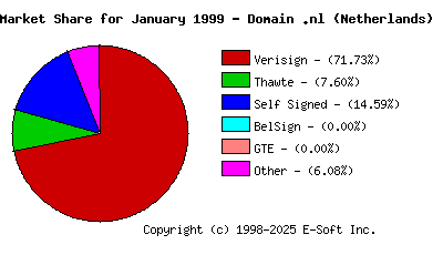 February 1st 1999 CA Market Share Pie Chart