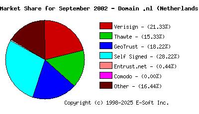 October 1st 2002 CA Market Share Pie Chart