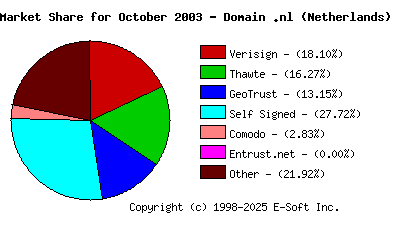 November 1st 2003 CA Market Share Pie Chart