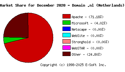 January 1st, 2021 Market Share Pie Chart
