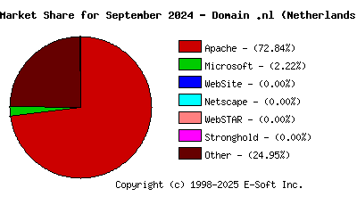 October 1st, 2024 Market Share Pie Chart