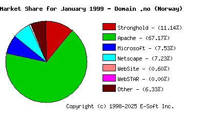 February 1st, 1999 Market Share Pie Chart