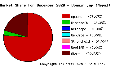 January 1st, 2021 Market Share Pie Chart