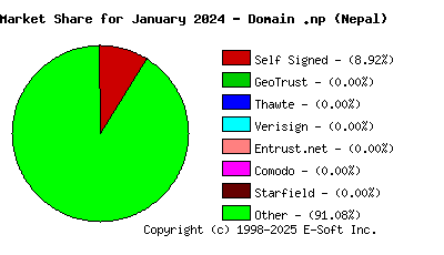 February 1st 2024 CA Market Share Pie Chart
