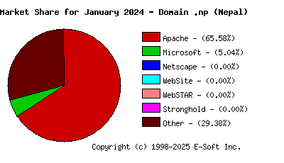 February 1st, 2024 Market Share Pie Chart