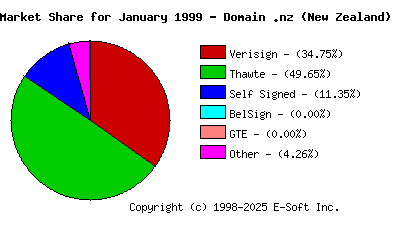 February 1st 1999 CA Market Share Pie Chart