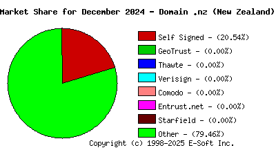 January 1st 2025 CA Market Share Pie Chart
