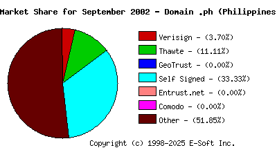 October 1st 2002 CA Market Share Pie Chart