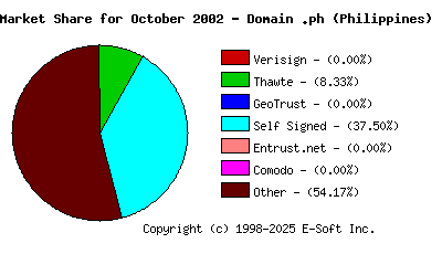 November 1st 2002 CA Market Share Pie Chart