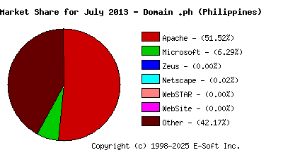 August 1st, 2013 Market Share Pie Chart