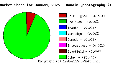 February 1st 2025 CA Market Share Pie Chart
