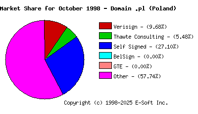 November 1st 1998 CA Market Share Pie Chart