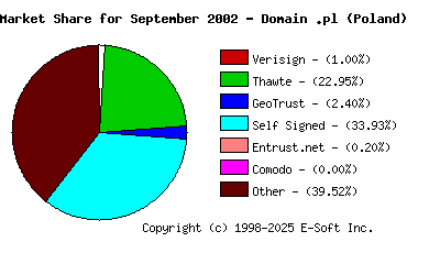 October 1st 2002 CA Market Share Pie Chart