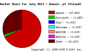 August 1st, 2013 Market Share Pie Chart