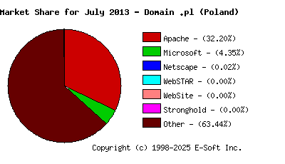 August 1st, 2013 Market Share Pie Chart