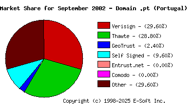 October 1st 2002 CA Market Share Pie Chart