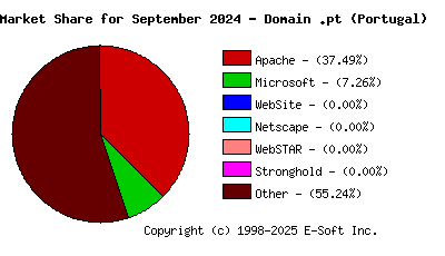October 1st, 2024 Market Share Pie Chart