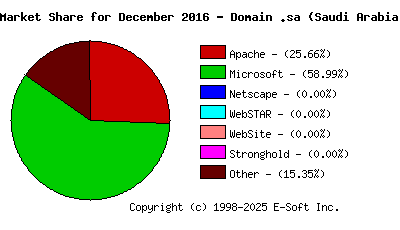 January 1st, 2017 Market Share Pie Chart